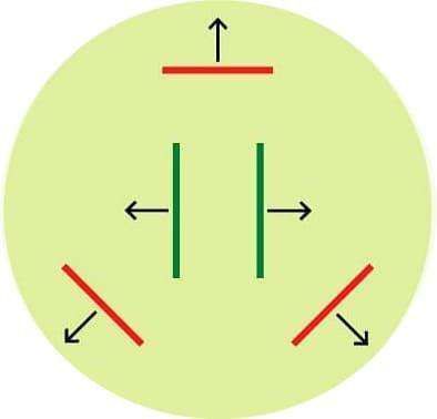 Diagram of the jellyfish underside: two long green lines in the middle and three short red lines around them, with arrows pointing outward